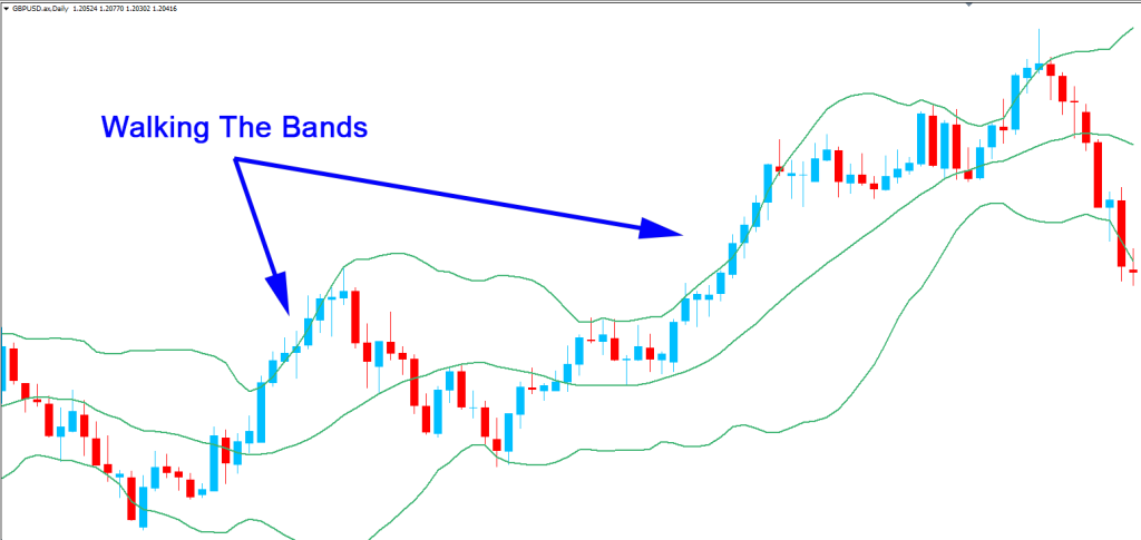 Img Bollinger La Gi 2